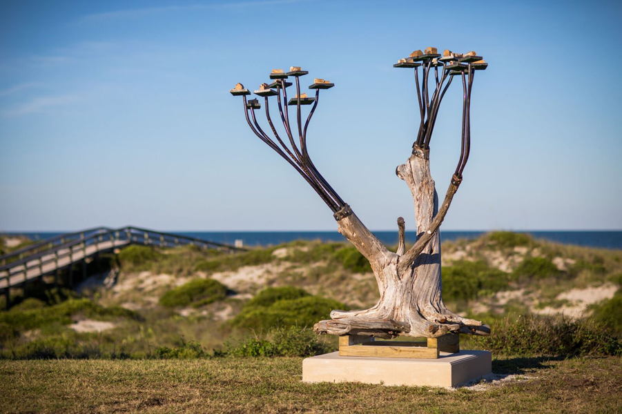 Driftwood Tower Estates