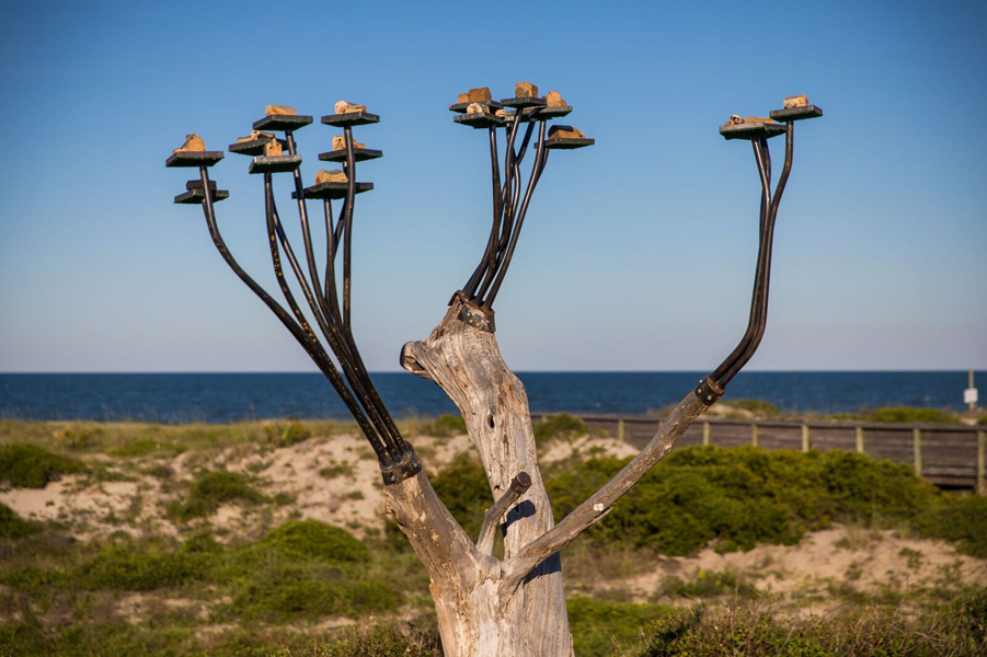 Driftwood Tower Estates