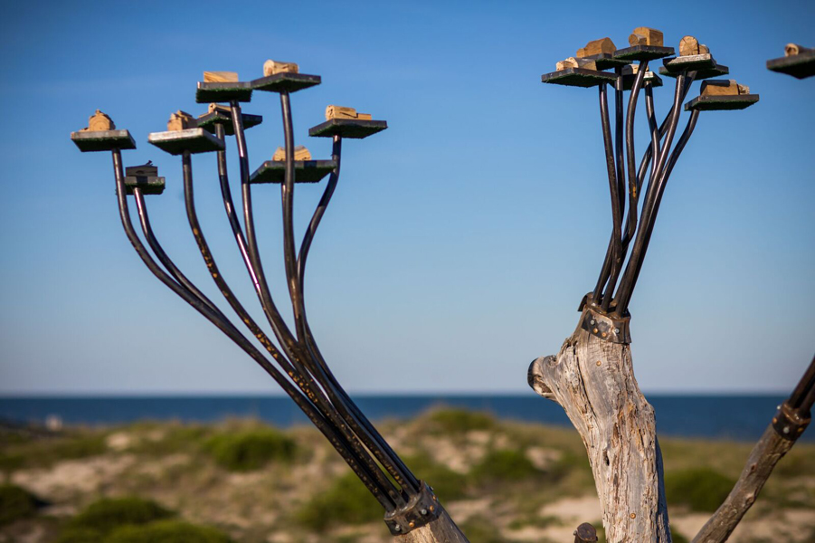 Driftwood Tower Estates