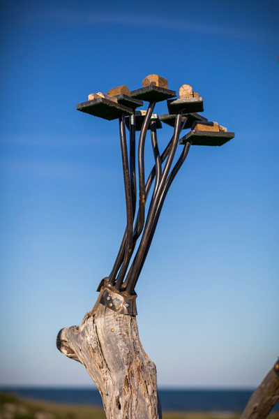 Driftwood Tower Estates