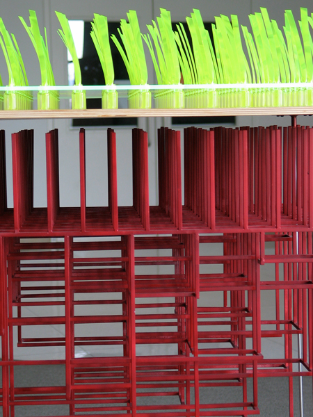 Everyman's Dream/ The Perfect Lawn