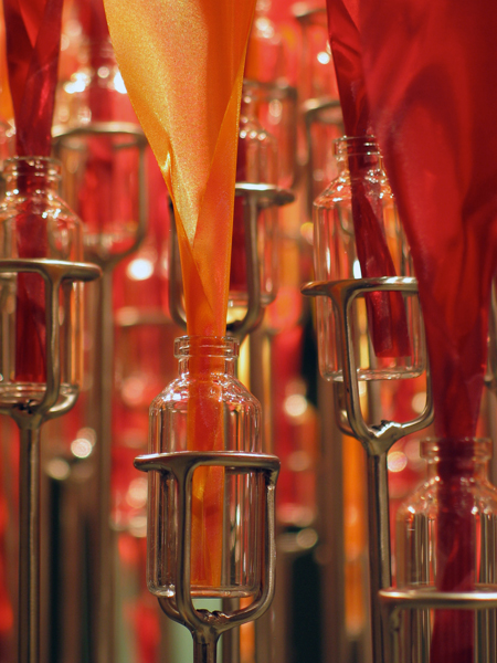 The Last Flower in the Emerald City