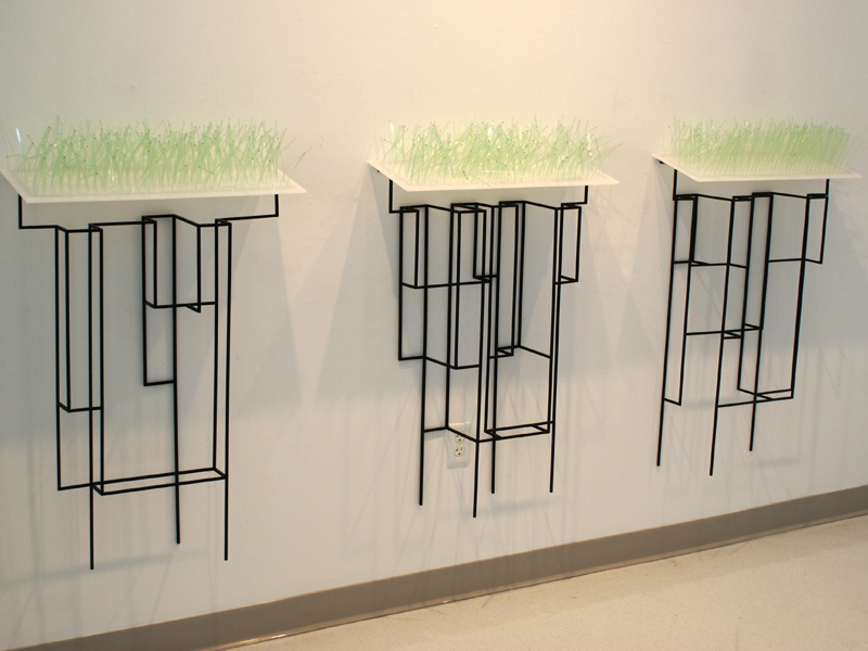 Looking Out/ Looking In