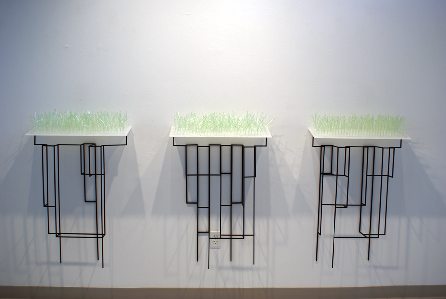 Looking Out/ Looking In